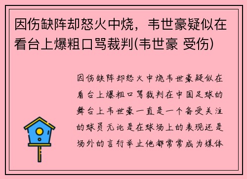 因伤缺阵却怒火中烧，韦世豪疑似在看台上爆粗口骂裁判(韦世豪 受伤)