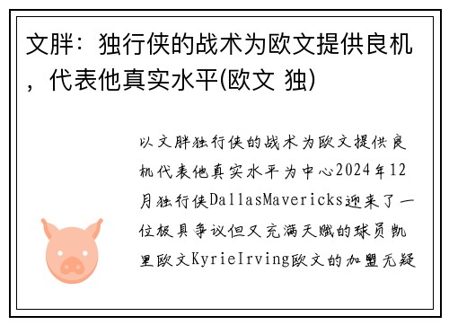 文胖：独行侠的战术为欧文提供良机，代表他真实水平(欧文 独)